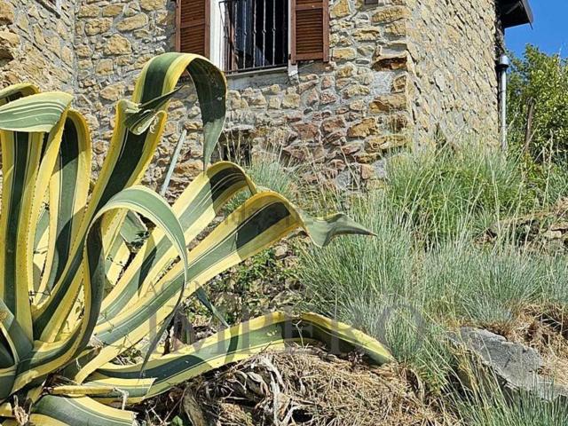 Casa in vendita a Zanin, Ventimiglia