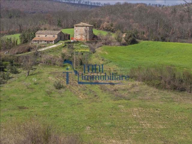 Casa in vendita a Amelia, Terni