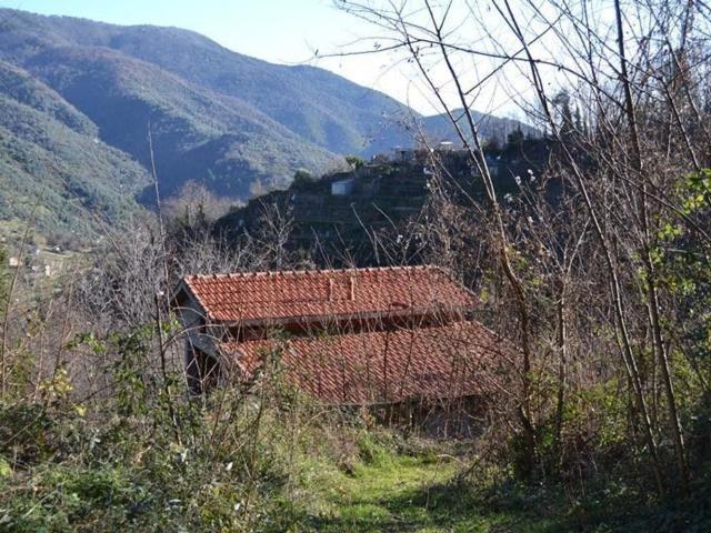 Casa in vendita a Baiardo, Liguria