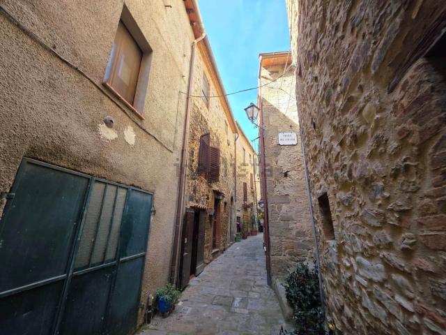 Casa in vendita a Seggiano, Grosseto