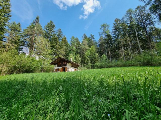 Casa in vendita a Comunità della Val di Non, Romeno