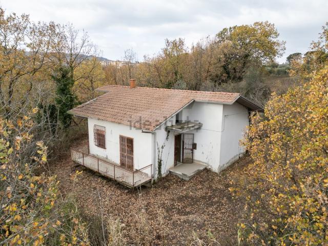 Casa in vendita a Calvi, Campania
