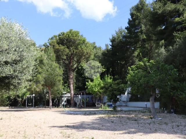 Casa in vendita a Ponterotto, Marche