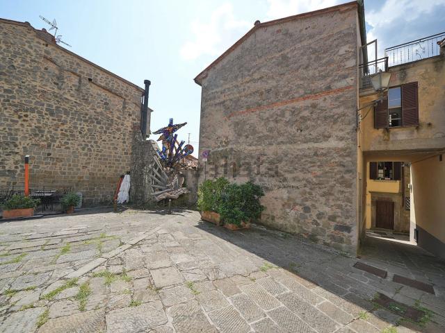 Casa in vendita a Unione dei Comuni Montani Amiata Grossetana, Santa Fiora
