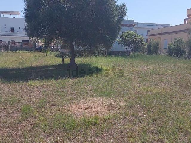 Casa in vendita a Anzio Colonia, Roma Capitale