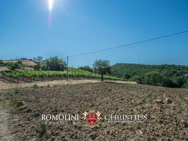 Casa in vendita a Cinigiano, Toscana
