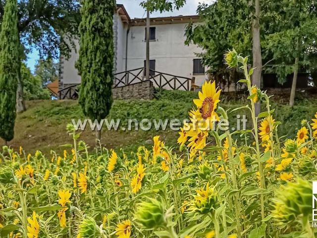 Casa in vendita a Caprese Michelangelo, Toscana