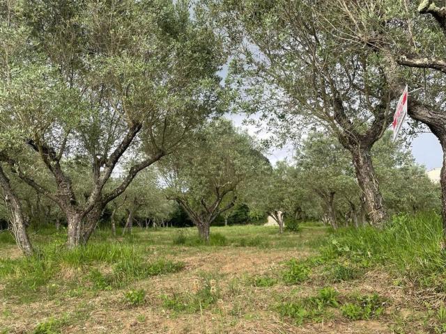 Casa in vendita a Anagni, Lazio