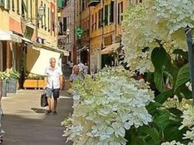 Casa in vendita a San Lorenzo Della Costa, Liguria