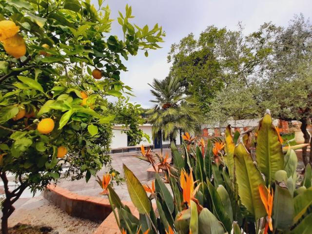 Casa in vendita a Zafferana Etnea, Sicilia