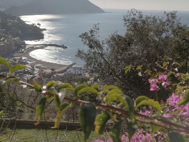 Casa in vendita a Polanesi, Recco