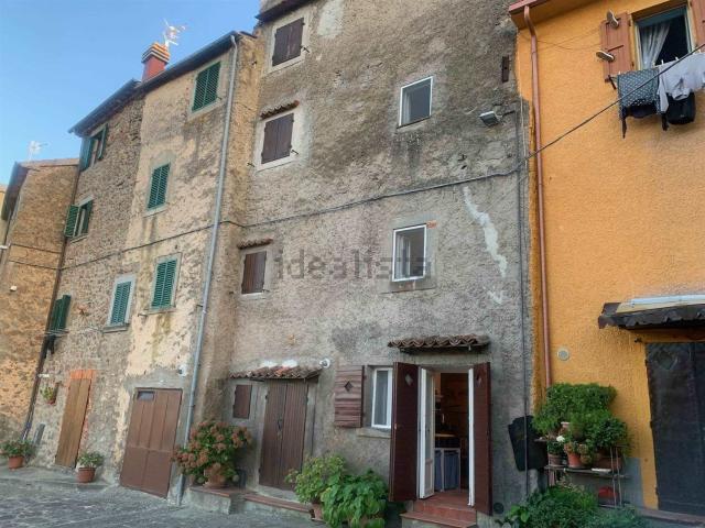 Casa in vendita a Castel del Piano, Grosseto