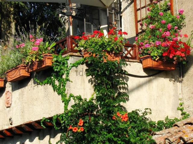 Casa in vendita a Unione di Comuni Montani Colline del Fiora, Proceno