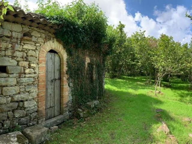 Casa in vendita a San Piero Patti, Sicilia