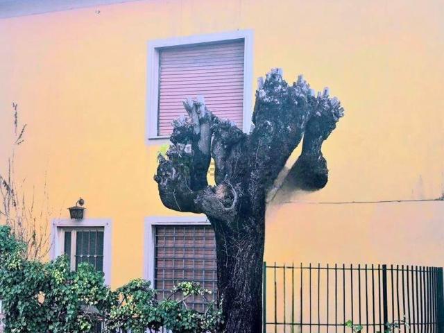 Casa in vendita a Capannori, Lucca