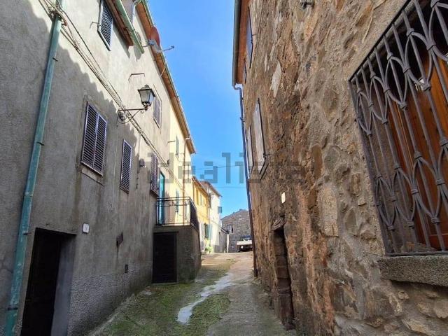 Casa in vendita a Unione dei Comuni Montani Amiata Grossetana, Arcidosso