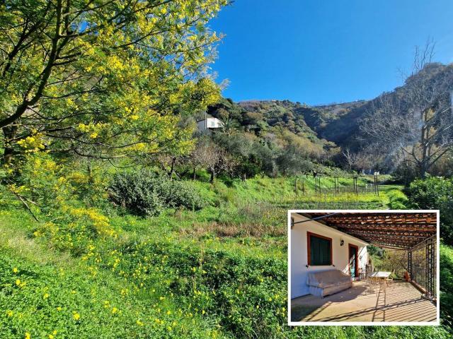 Casa in vendita a Monforte San Giorgio, Sicilia