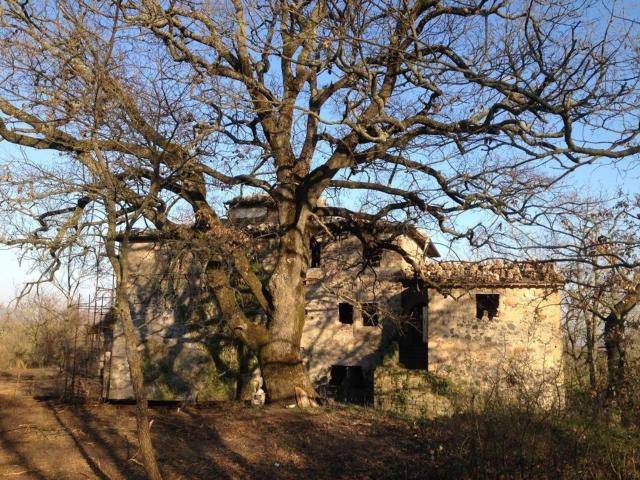 Casa in vendita a Bagnoregio, Lazio