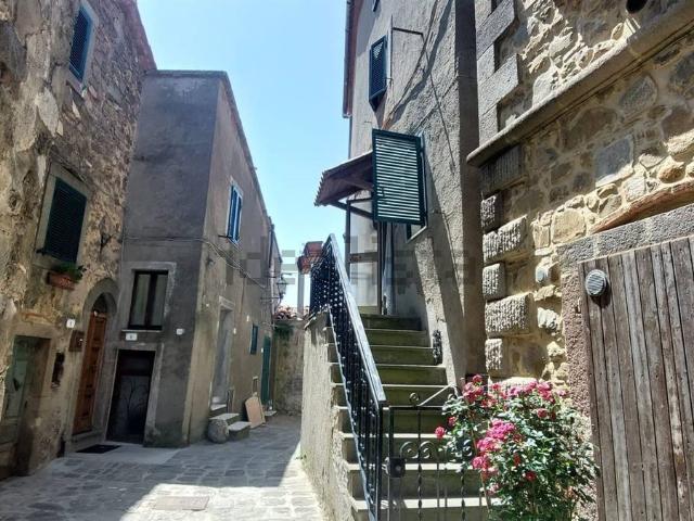 Casa in vendita a Unione dei Comuni Montani Amiata Grossetana, Arcidosso