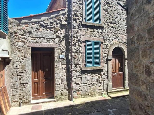 Casa in vendita a Unione dei Comuni Montani Amiata Grossetana, Arcidosso