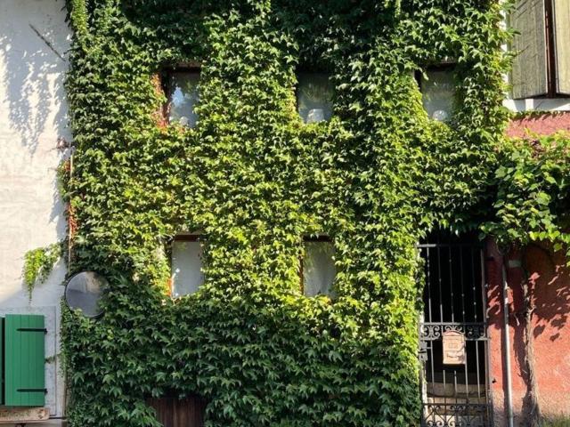 Casa in vendita a Polcenigo, Friuli-Venezia Giulia