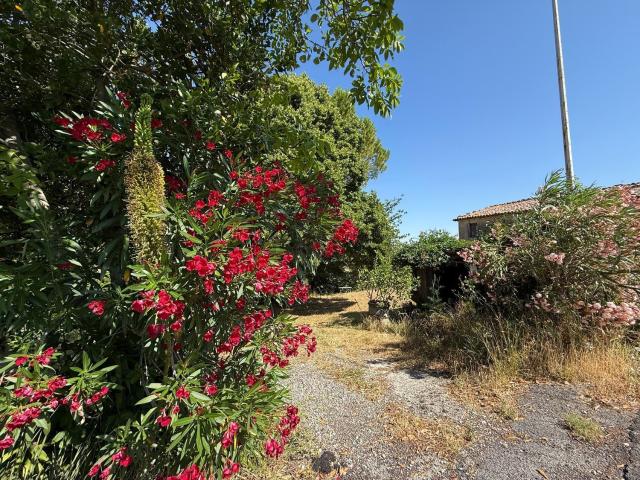 Casa in vendita a Montecastrilli, Umbria