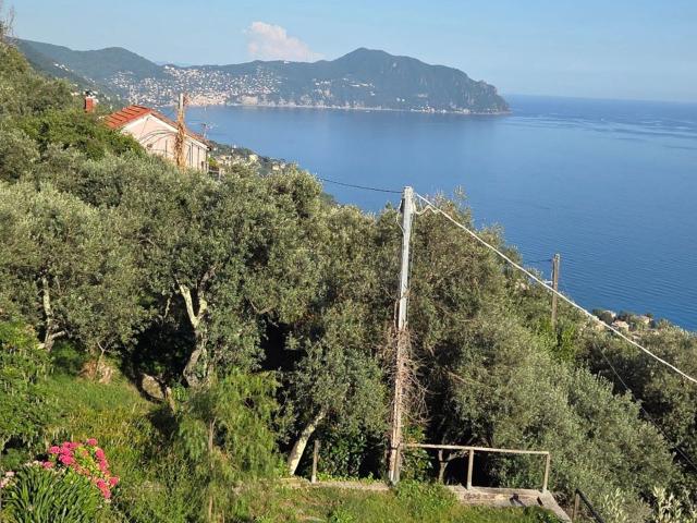 Casa in vendita a Levante, Serra Riccò