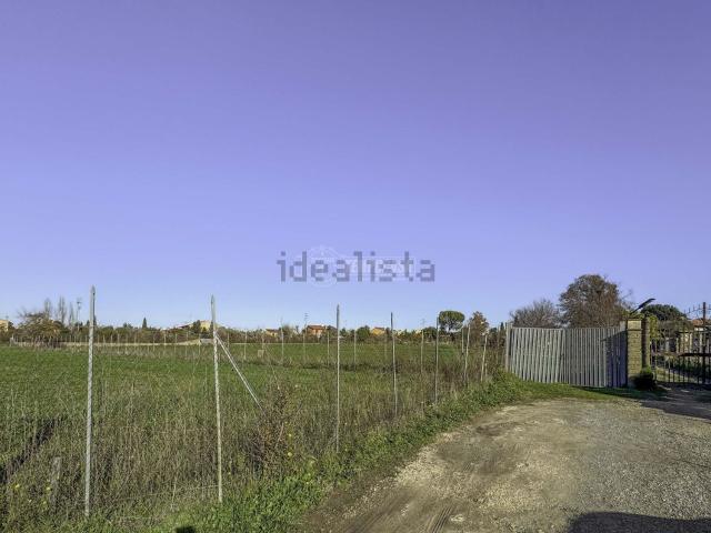 Casa in vendita a Montalto Di Castro, Lazio