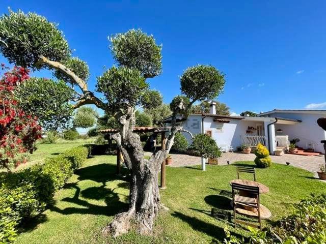 Casa in vendita a Puntone di Scarlino, Scarlino