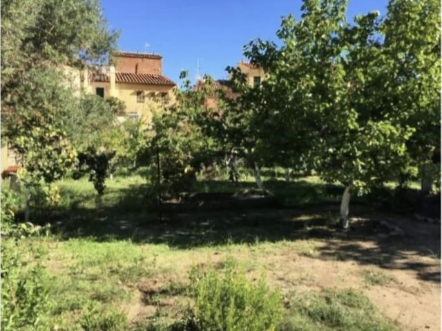 Casa in vendita a Isola del Giglio, Giglio Porto