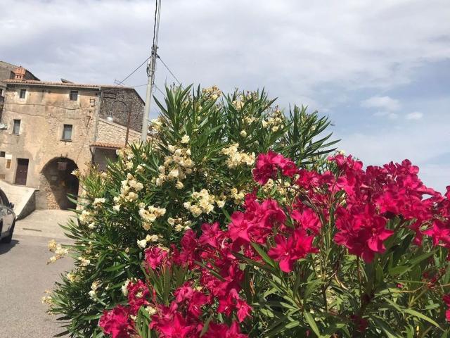 Casa in vendita a Colle San Magno, Lazio