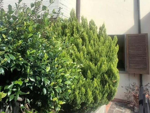 Villa Indipendente in vendita a Pollino, Bibbiena