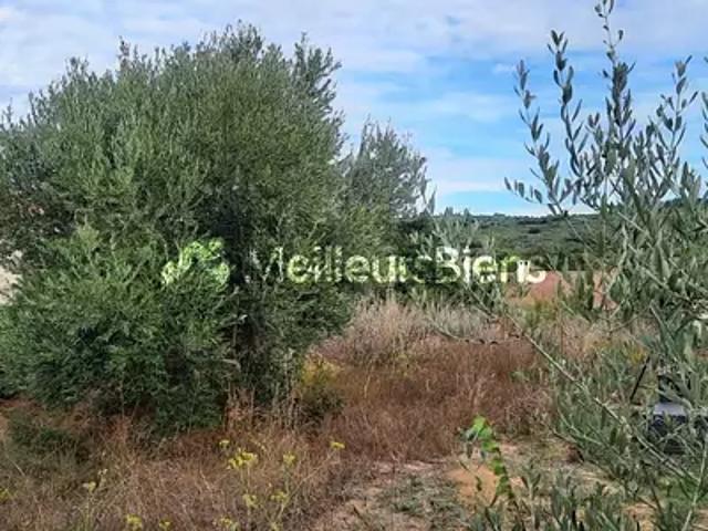 Terrain vente à Montpellier, Villeveyrac