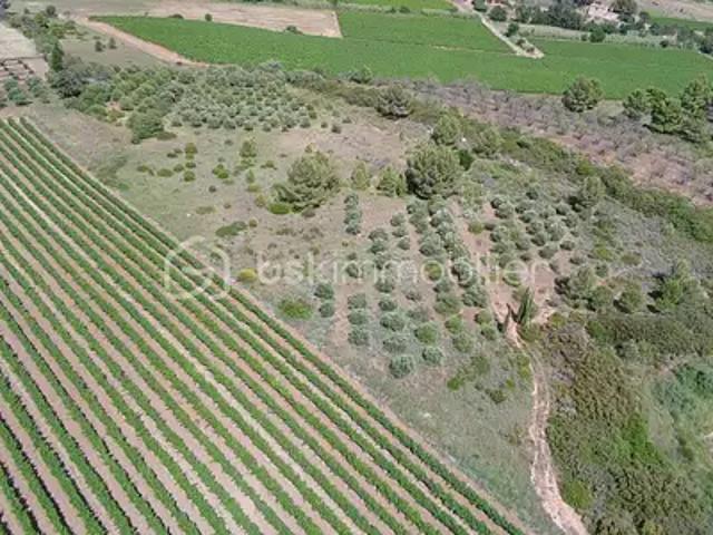 Terrain vente à Montpellier, Villeveyrac