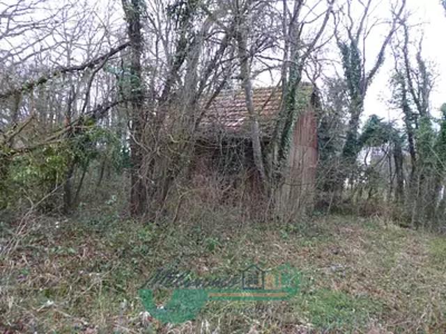 Terrain vente à Villiers-Saint-Benoît