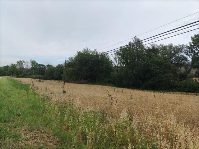 Terreno en venta en Vilopriu