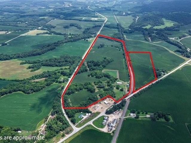 Farm for sale in Pike, Illinois