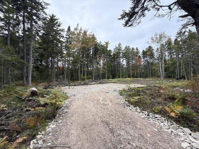 Land for sale in Vinalhaven, Knox County