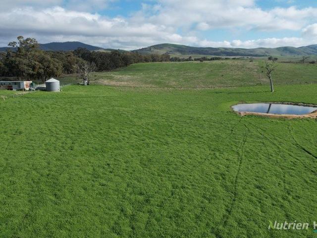 Acreage for sale in Amphitheatre, Victoria