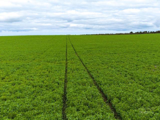 Property for sale in Yorketown, South Australia