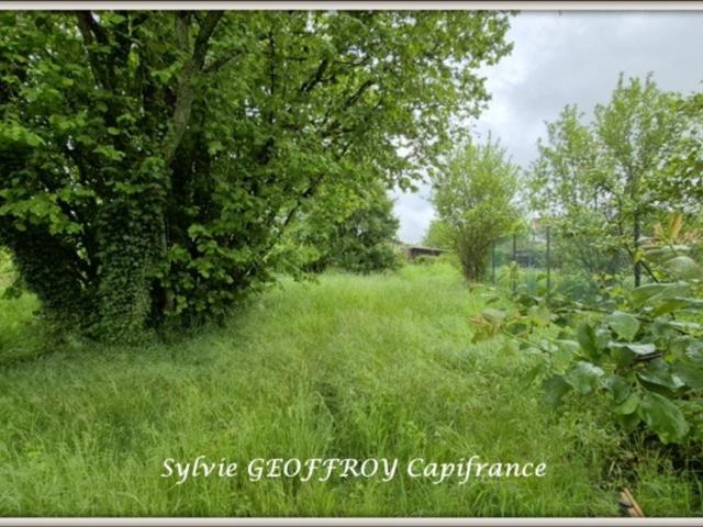 Maison vente à Épinal, Vincey