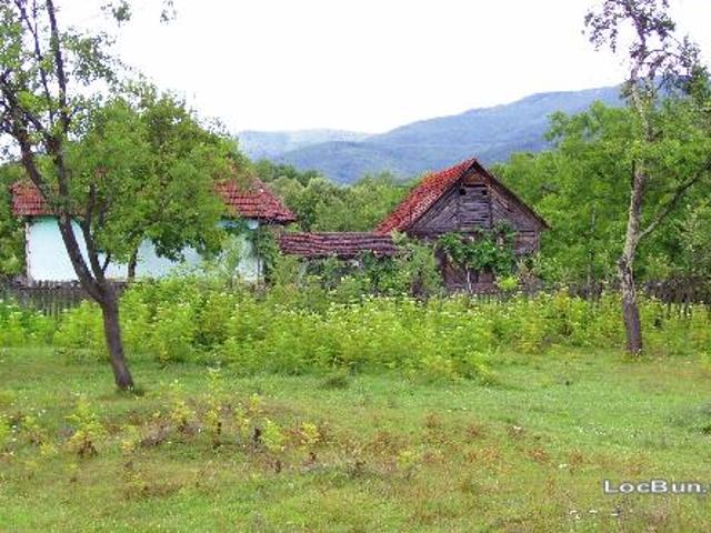 Casă vânzări în Arad