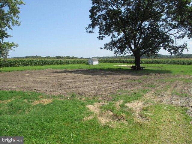 Land for sale in Dagsboro