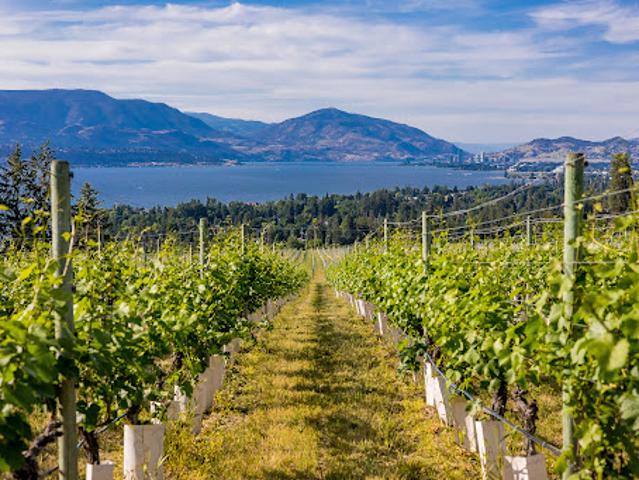 Property for sale in Kelowna, British Columbia