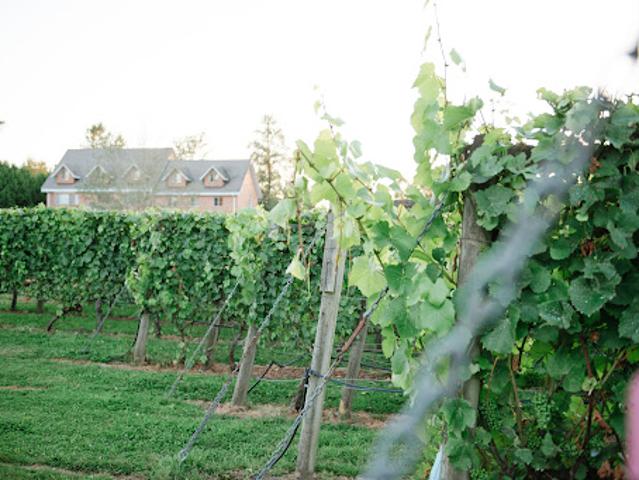 Property for sale in Langley, British Columbia