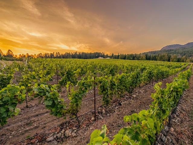 Property for sale in Duncan, British Columbia