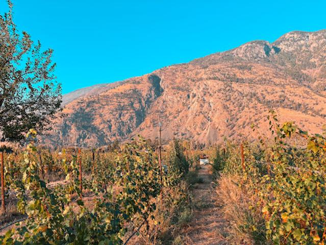 Property for sale in Cawston, British Columbia