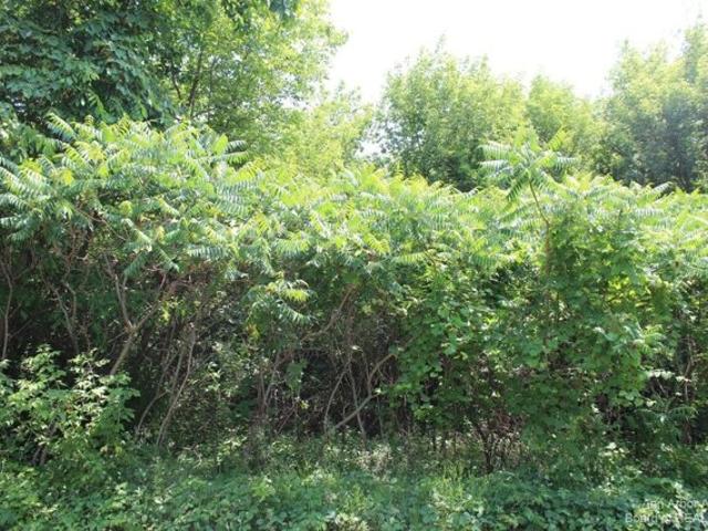 Land for sale in Grass Lake, Michigan