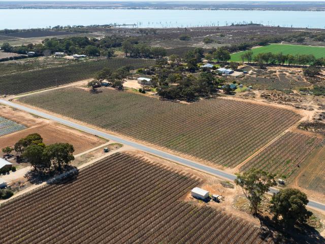 Property for sale in Barmera, South Australia
