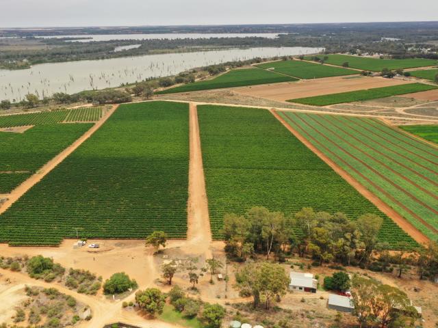 Cottage for sale in Cobdogla, South Australia